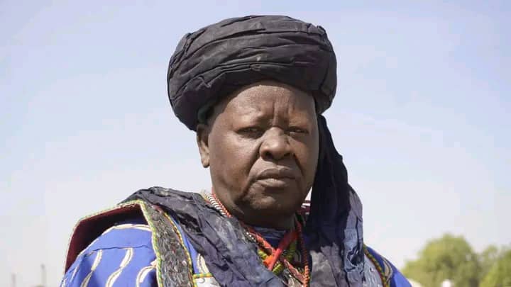 A Kanuri man dressed in historic Kanuri attire during the Kanem-Borno Cultural Summit.