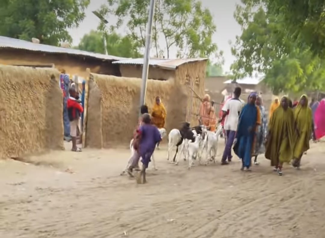 Victims of alleged military eviction fleeing their communities to "safe" locations.