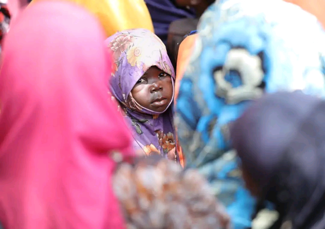 Abducted residents of Ngoshe town, mostly women and children, were released by JAS after 3 months in captivity. Photo credit: BOSG.